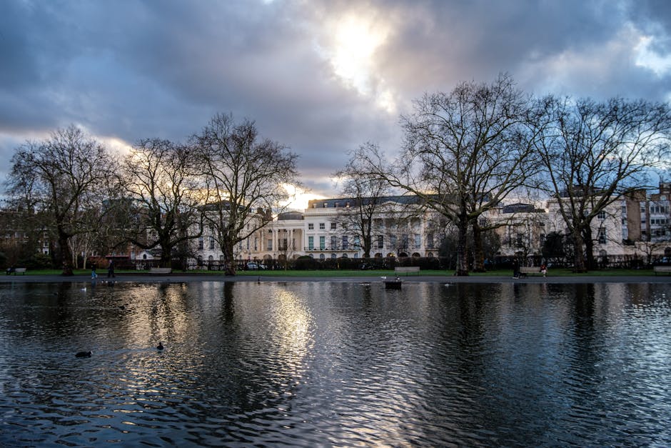 A landscape image capturing a park scene with a large rectangular pond in the foreground, its surface reflecting the cloudy sky and surrounding environment. On the opposite side of the pond, there is 